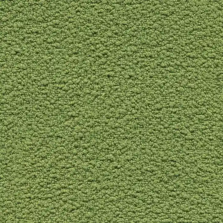 teddy fabric olive