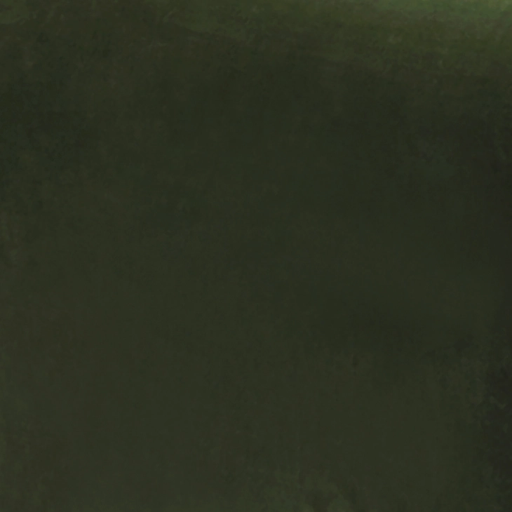 velvet-fabric-dark-olive-vf28