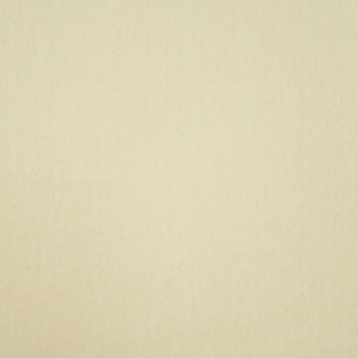 cotton-velvet-cream-cv01